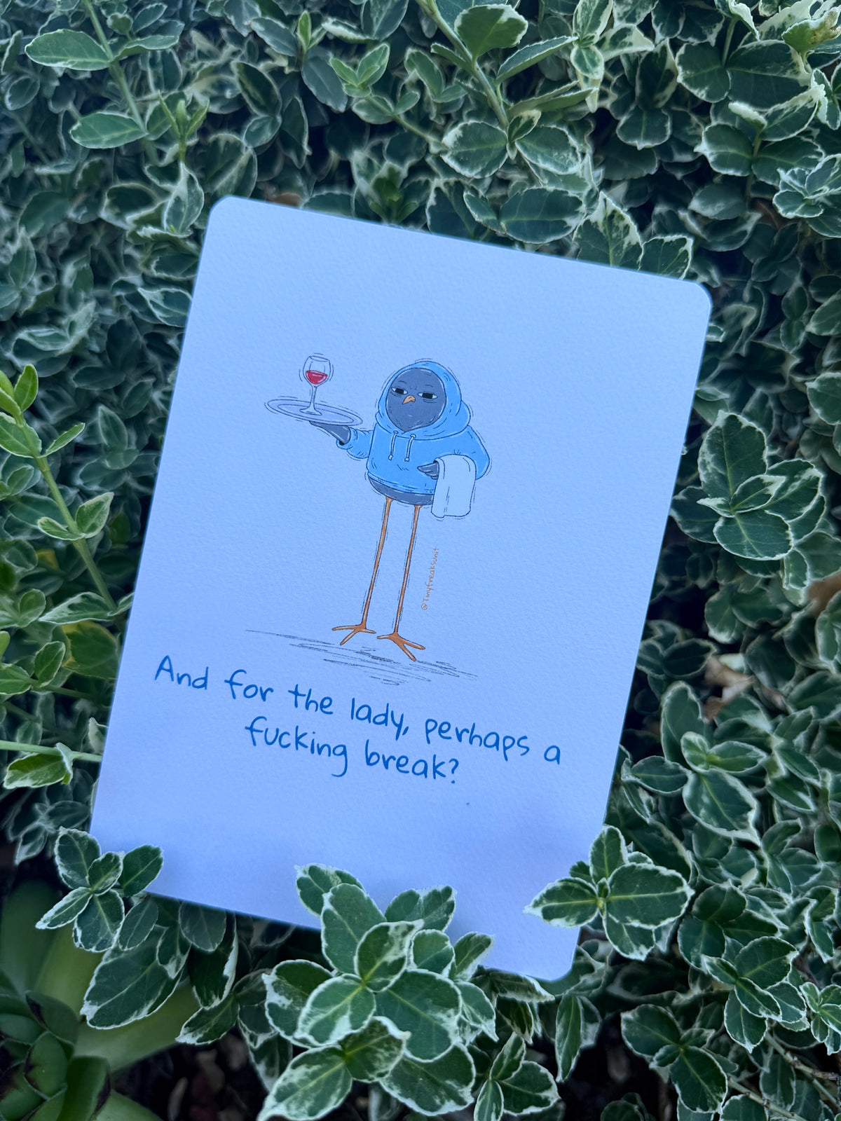 Take A Break Pack of 10 Postcards