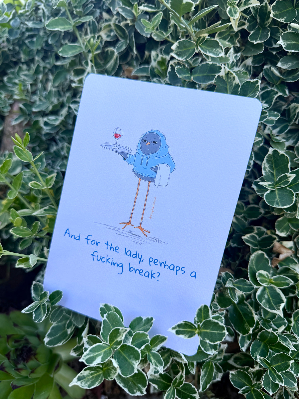 Take A Break Pack of 10 Postcards